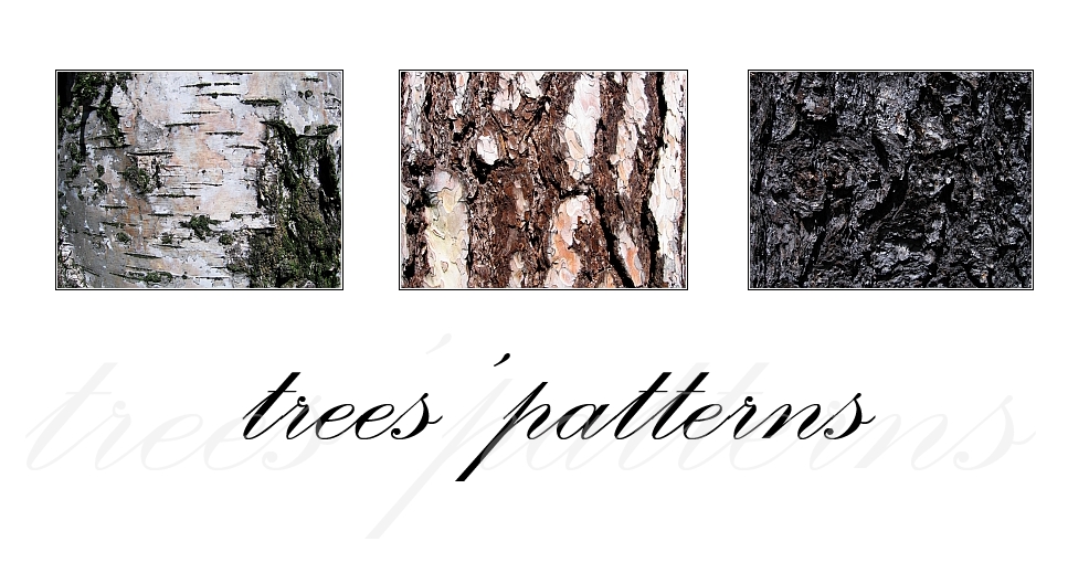 Trees' patterns