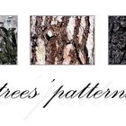 Trees' patterns