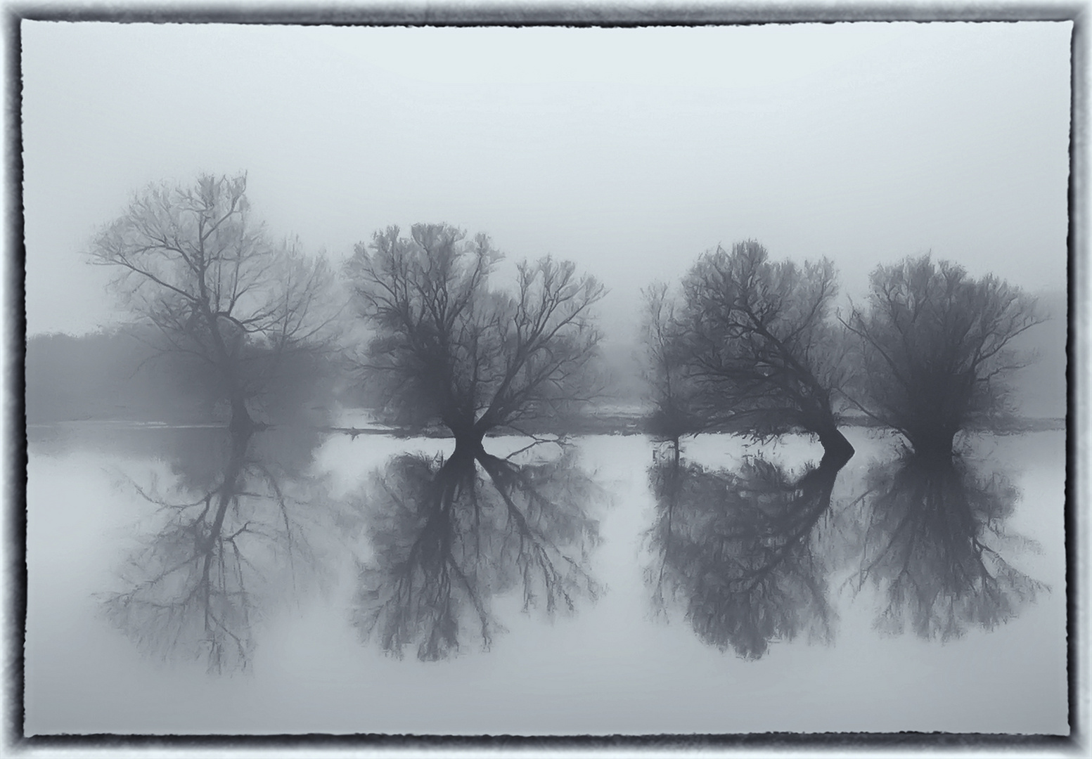 Trees reflecting