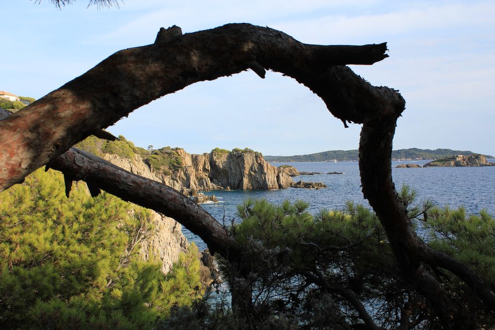 Trees, rocks and the sea