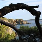 Trees, rocks and the sea