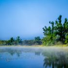 Trees, water and morning toilete