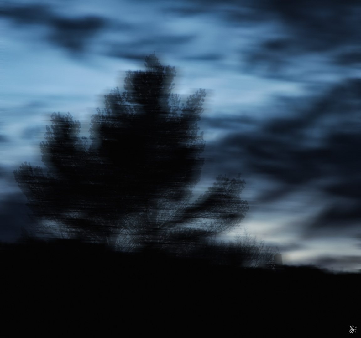 trees.moving Foto & Bild fotokunst, naturkreativ, aufnahmetechniken