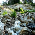 trees.water.stone.