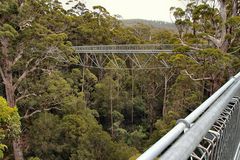 Treetopwalk