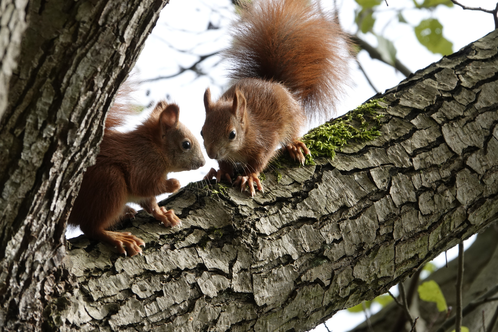 "Treff am See im Wald...!"