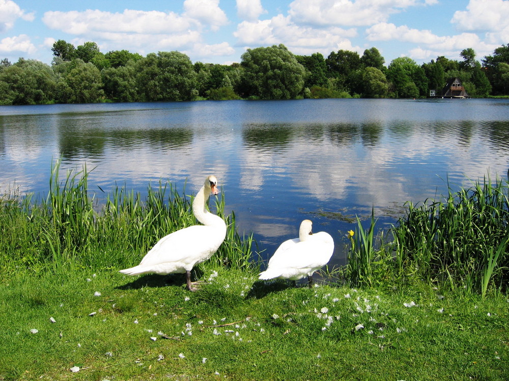 Treffen am See