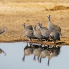 Treffen am Teich