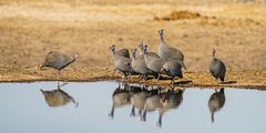 Treffen am Teich