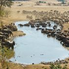 Treffen am Wasserloch, Zimbabwe, Mana Pools NP, 19.09.2019