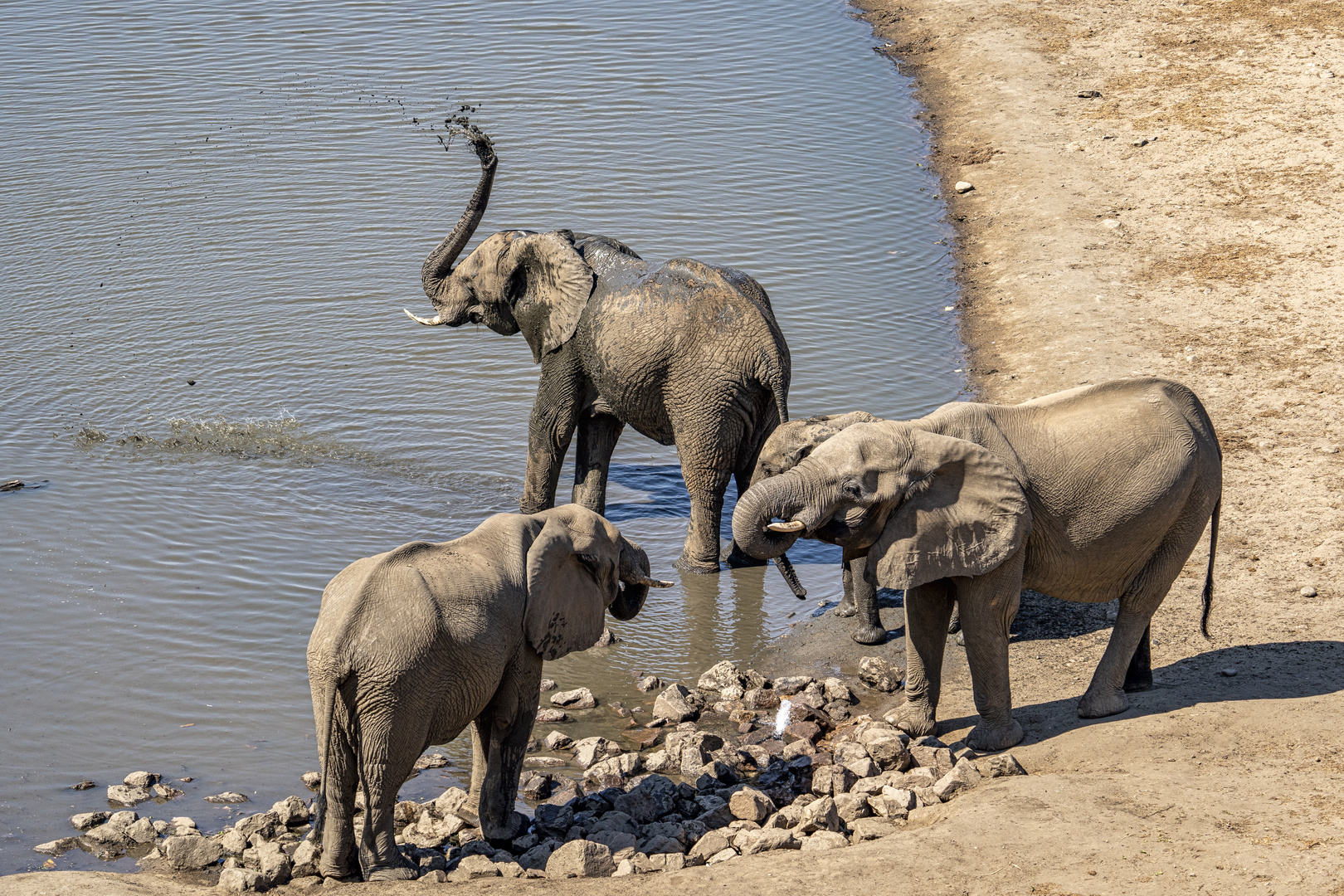 Treffen an der Quelle, 2019.09.18. - Mana Pools NP, Kavinga Camp