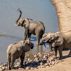 Treffen an der Quelle, 2019.09.18. - Mana Pools NP, Kavinga Camp