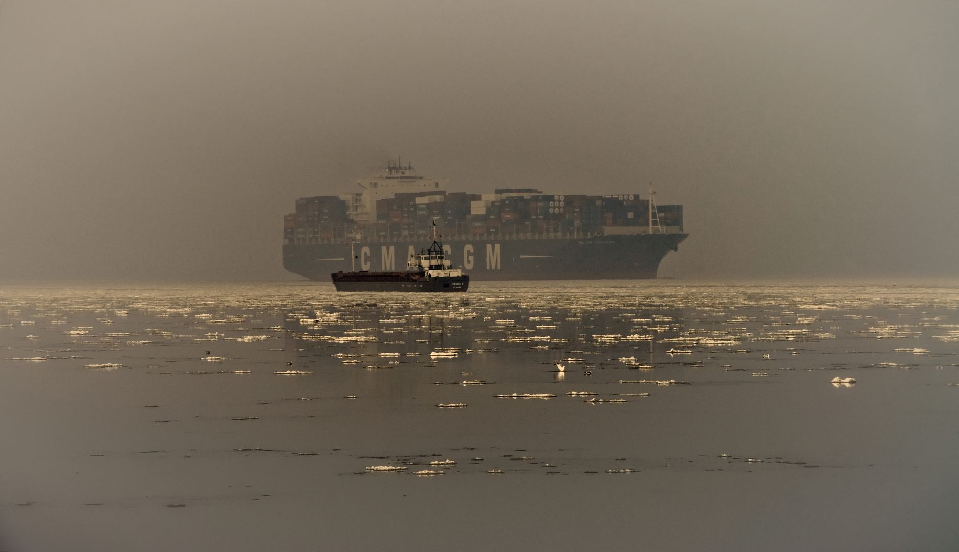 Treffen auf dem Eismeer