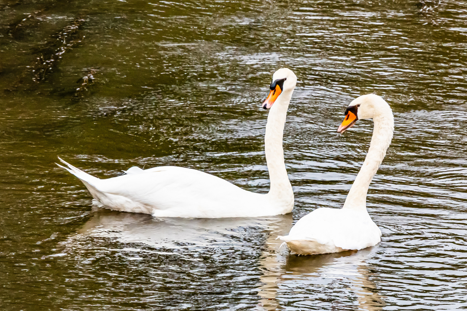 Treffen auf der Werra