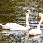 Treffen auf der Werra