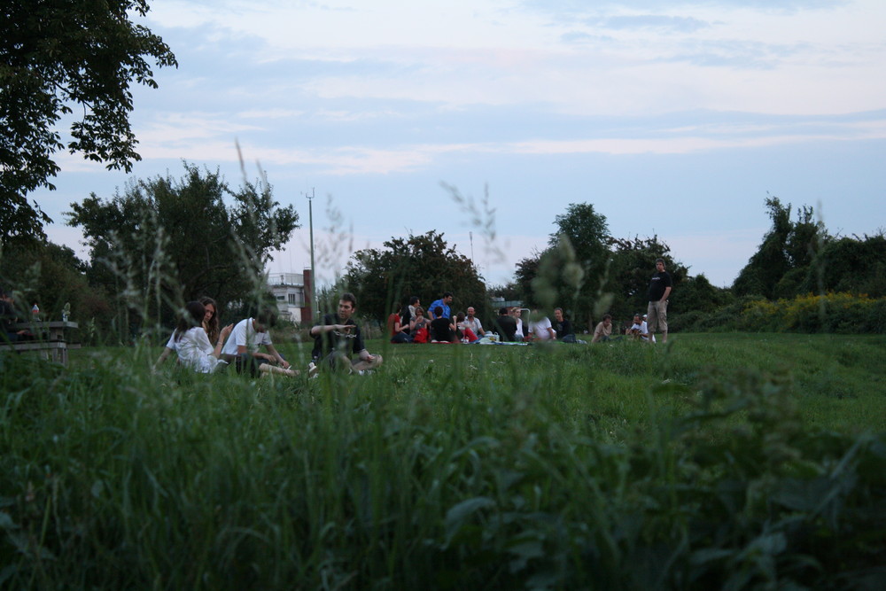 Treffen auf der Wiese