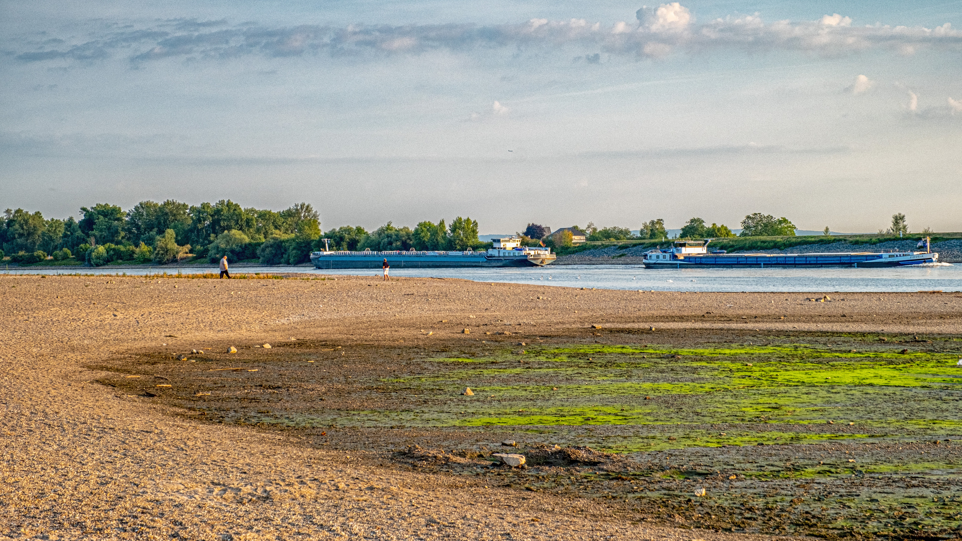 Treffen bei Niedrigwasser am und im Rhein 