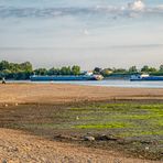 Treffen bei Niedrigwasser am und im Rhein 