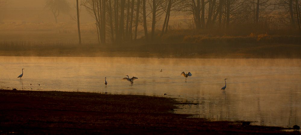 Treffen bei Sonnenaufgang am Goldbergsee