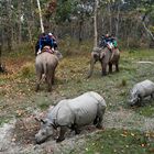 Treffen beim Elefantenreiten im Chitwan Nationalpark