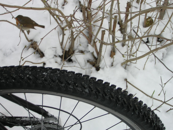 Treffen beim Radfahren.