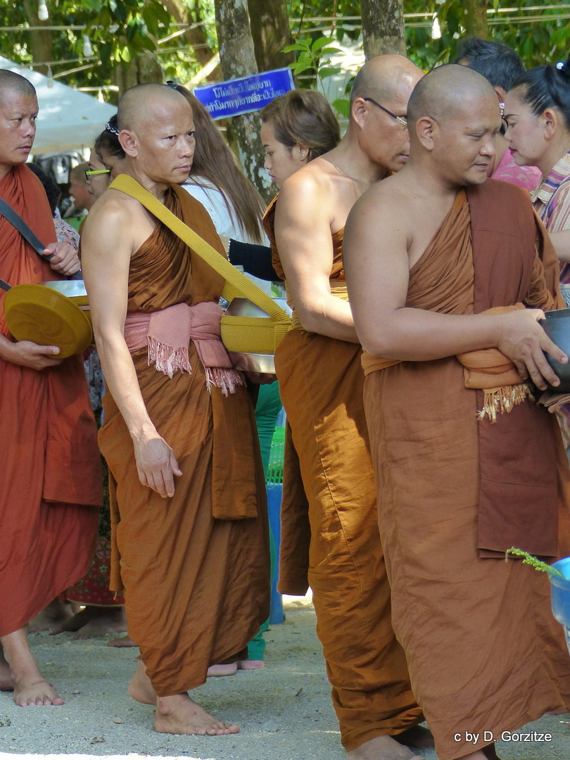 Treffen der Bettelmönche in Khao Lak !