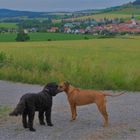 Treffen der zwei Freundinnen (encuentro de las dos amigas)