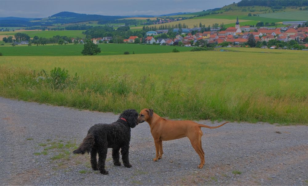 Treffen der zwei Freundinnen (encuentro de las dos amigas)