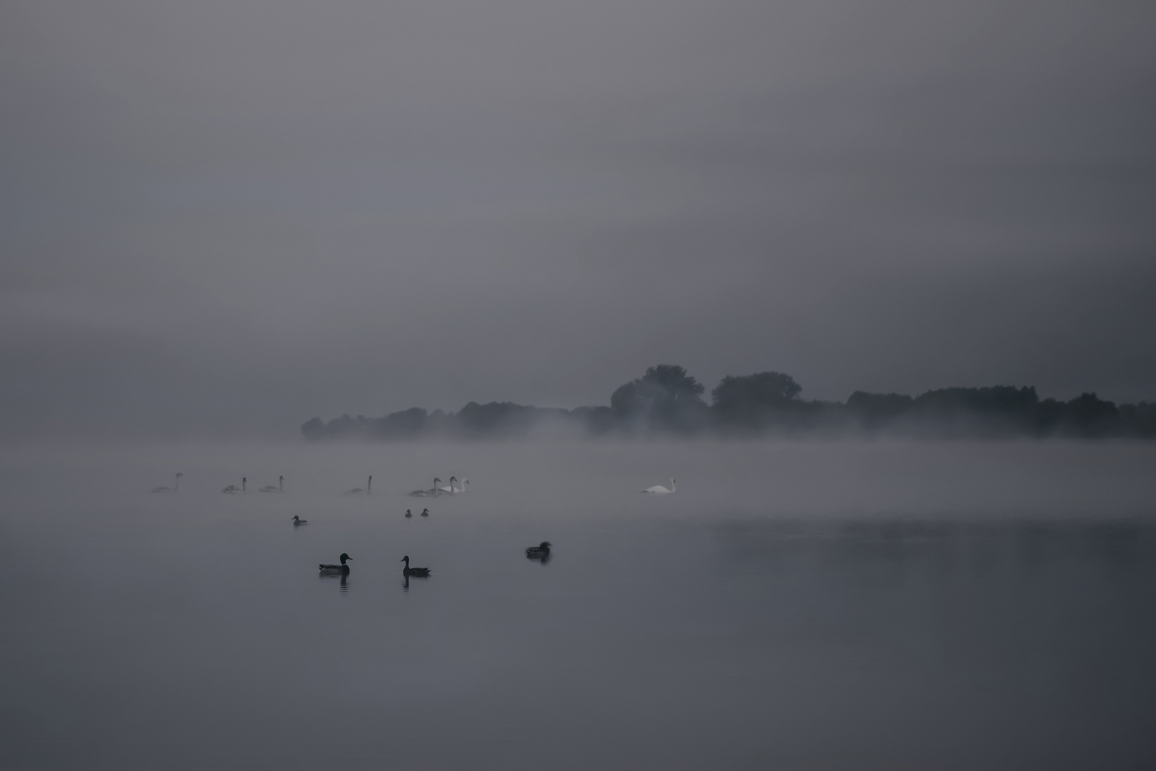 Treffen im Nebel