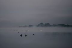 Treffen im Nebel