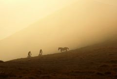 Treffen im Nebel