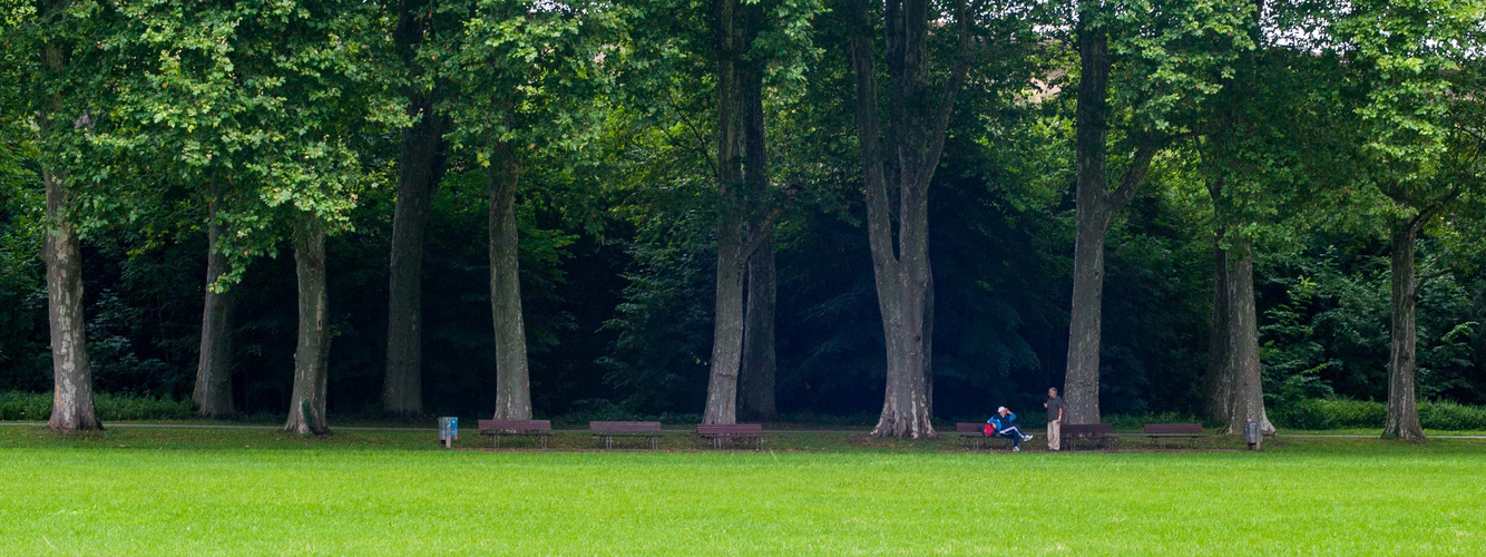 Treffen im Park