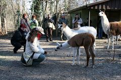 Treffen im Zoo Aschersleben