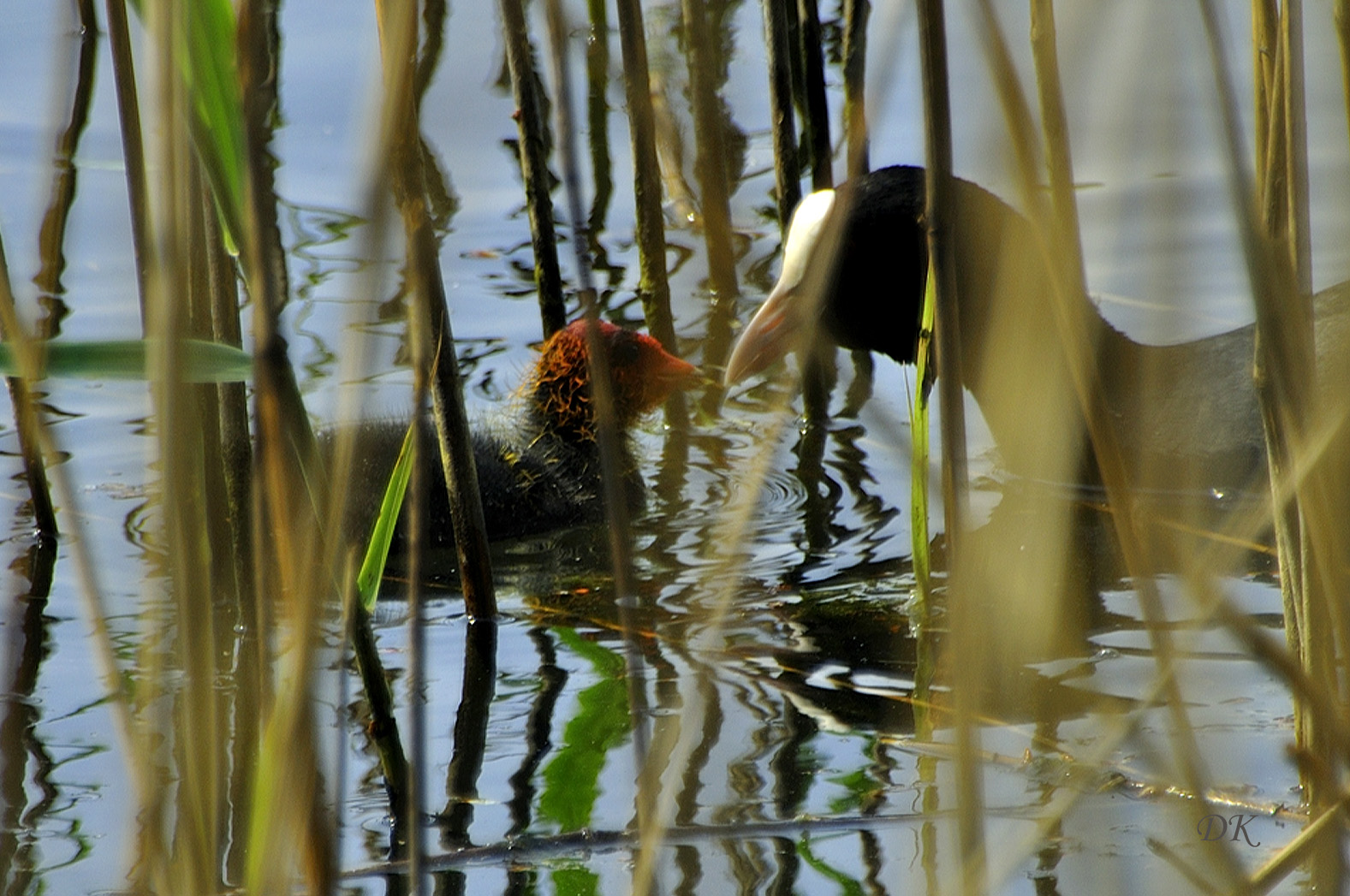 Treffen mit Mama...