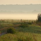 Treffen morgens im Odertal