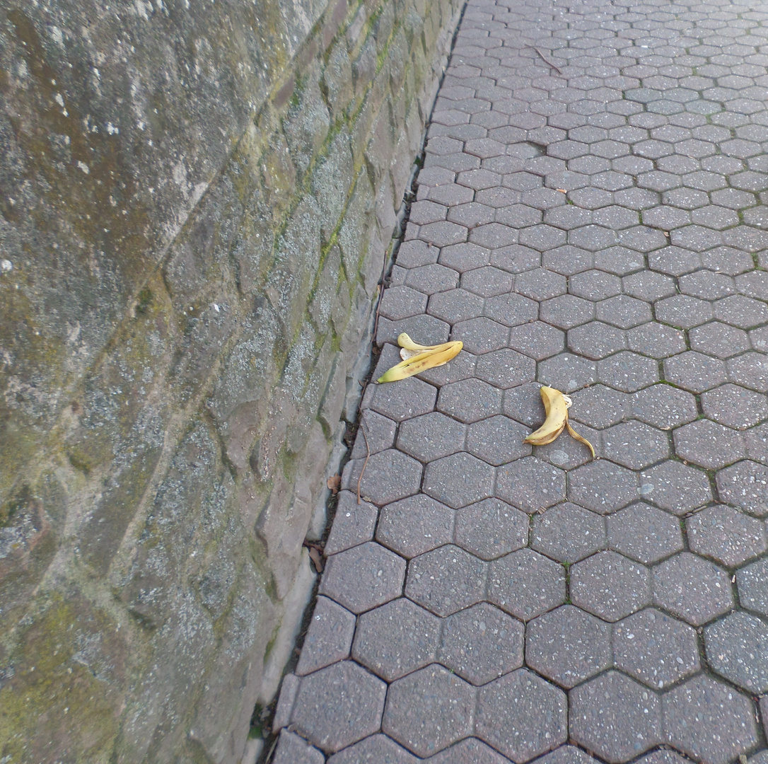 Treffen sich 2 Bananenschalen