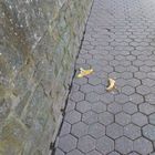 Treffen sich 2 Bananenschalen