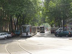 Treffen sich drei Straßenbahnen