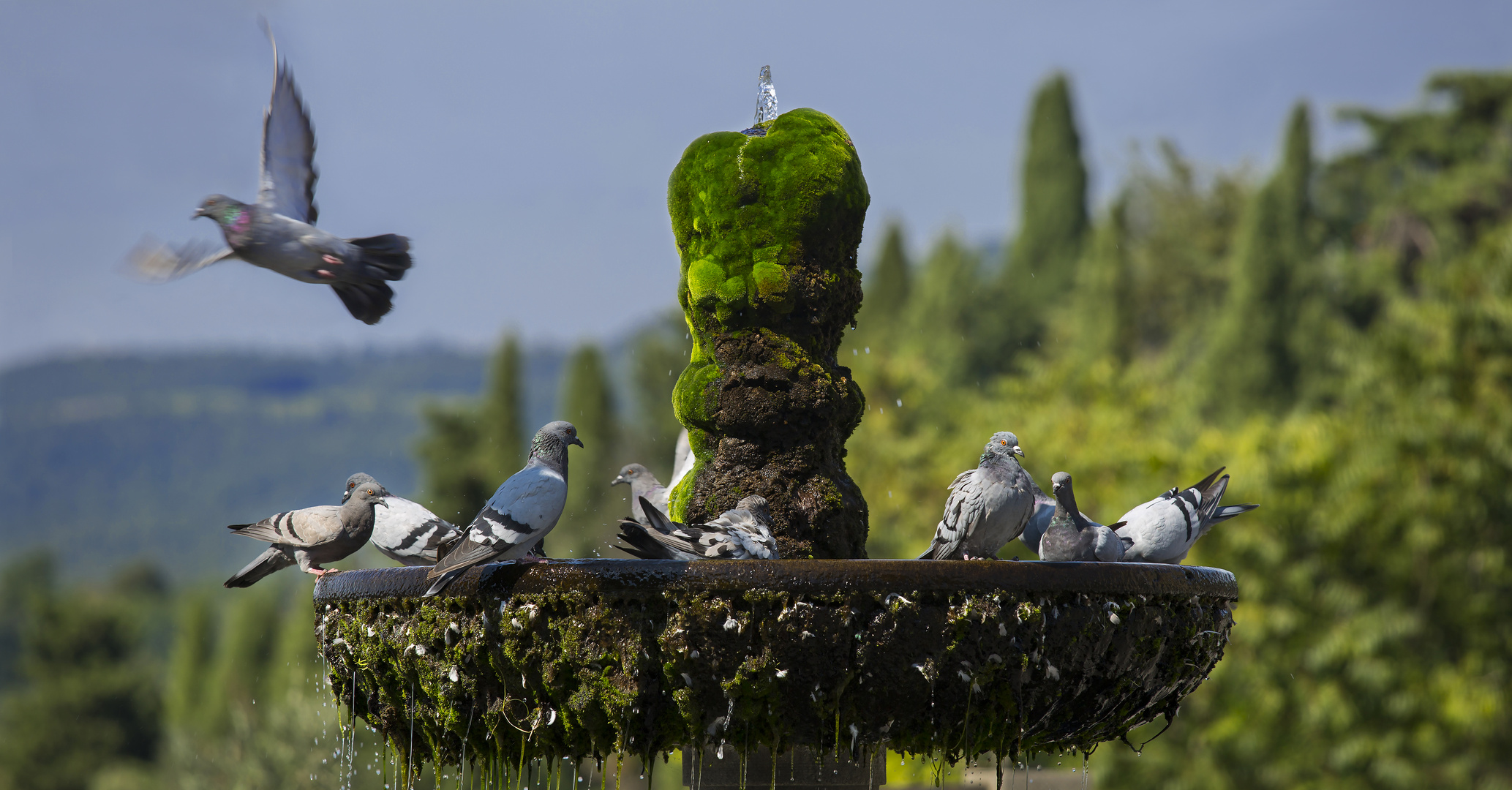 Treffpunkt am Wasser