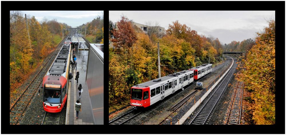 Treffpunkt Bonn-Tannenbusch