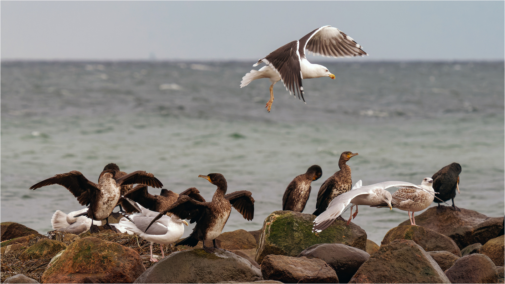 Treffpunkt Buhne Bliesdorf-Strand  .....