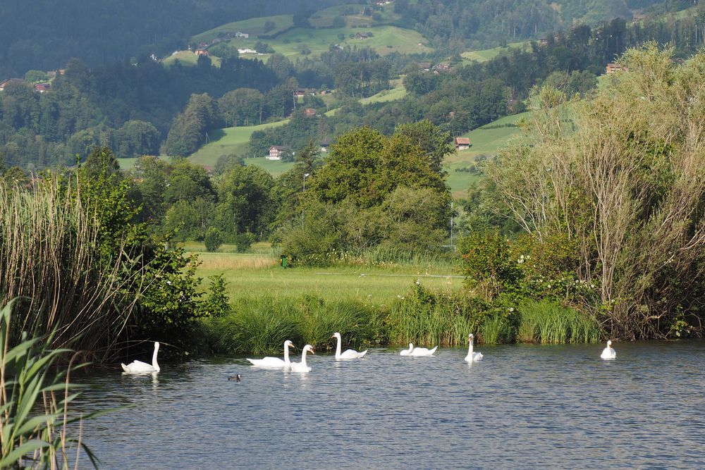 TREFFPUNKT.... Foto & Bild | natur, motive Bilder auf fotocommunity