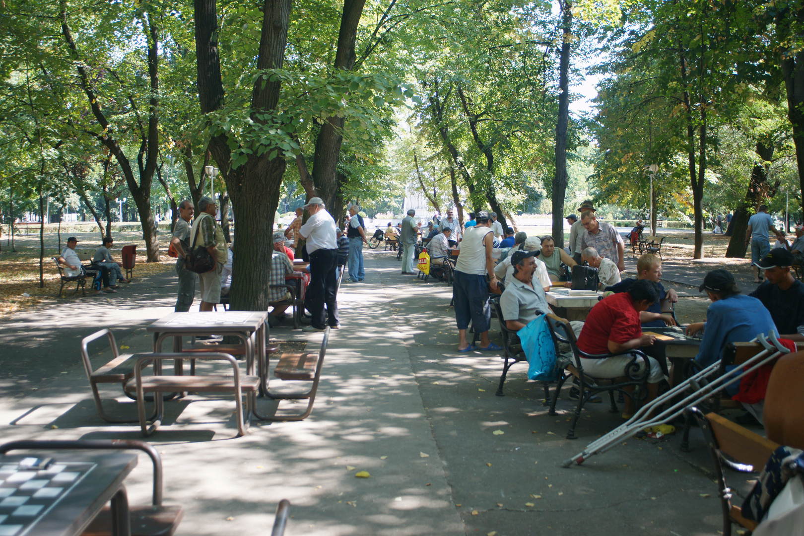 Treffpunkt der Männer- Zentralpark Timisoara