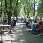 Treffpunkt der Männer- Zentralpark Timisoara