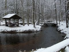 Treffpunkt der Trolle im Winterwald