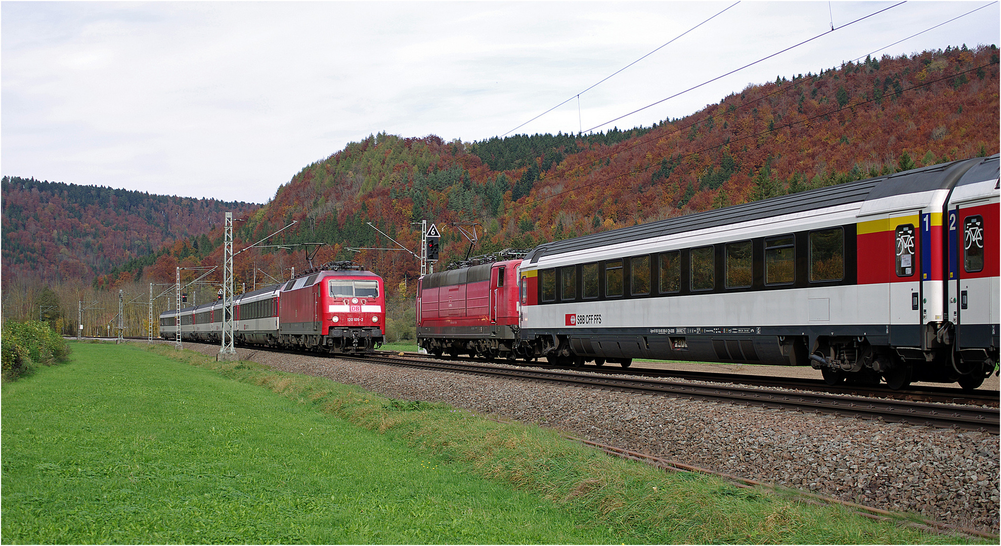 Treffpunkt Herbstwald