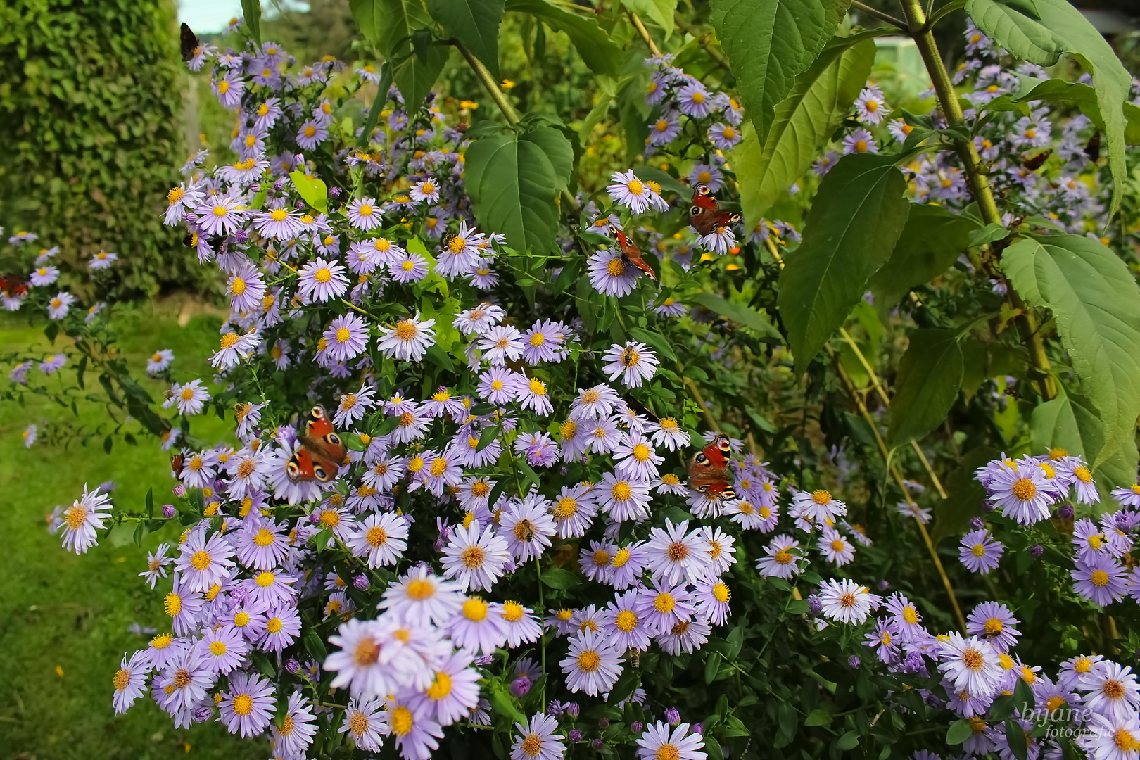 Treffpunkt im Herbst