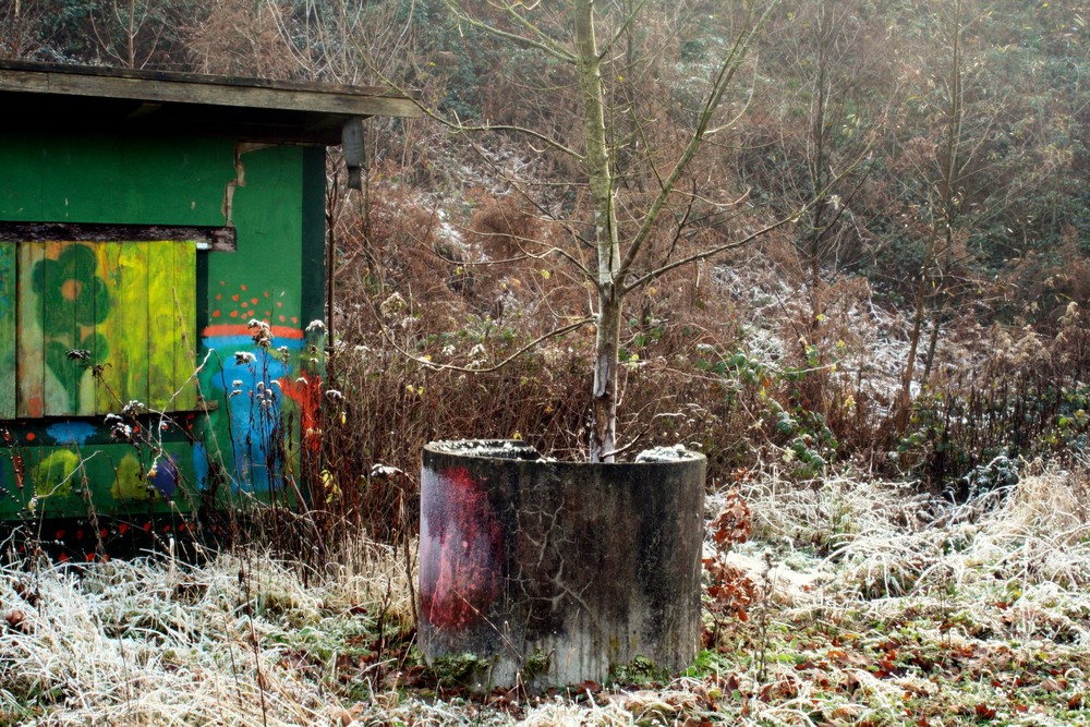 Treffpunkt im Wald