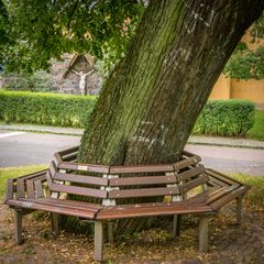 Treffpunkt Linde - Bacharach/Mittelrhein