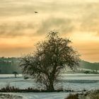 Treffpunkt Winterbaum...